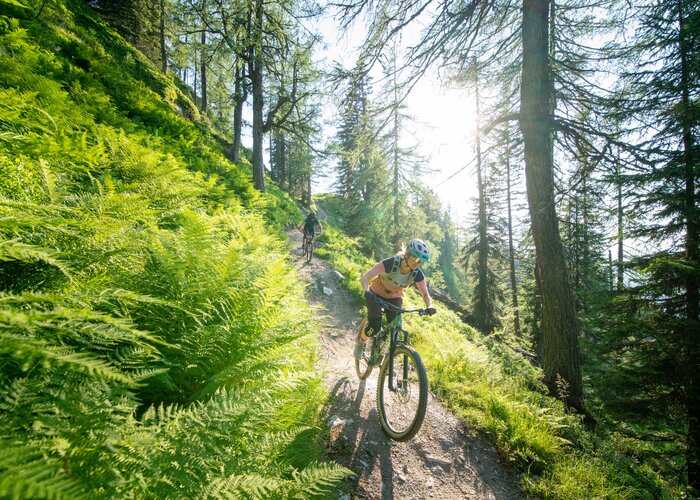 Mountain biking online facts